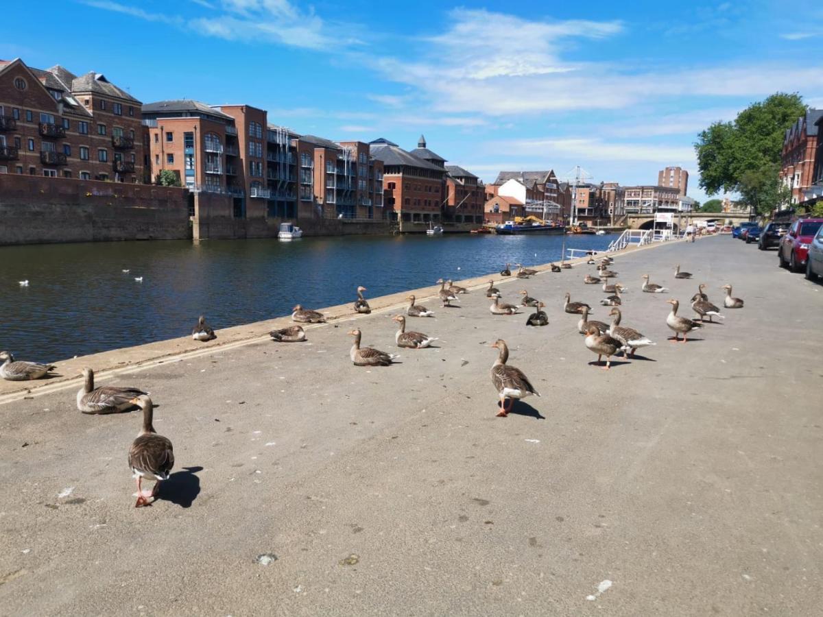 Hartoft St - 2 Bed Near River York Dış mekan fotoğraf